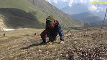 尼泊尔乡村探索-喜马拉雅山挖虫草，亚萨贡巴猎人