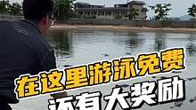 在这里游泳不仅免费，还有大奖励！#鳄珍 