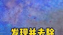 发现并去除飞碟虫 #飞碟虫 #本尼登虫 #寄生虫 #海洋生物 #奇异动物召集令