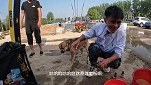 黑坑钓大鲤