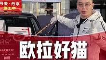#南宁汽车音响改装 #汽车音响改装 #欧拉好猫音响改装 #丹拿汽车音响