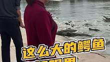 在女人眼里的小家伙，其实是…#鳄珍 