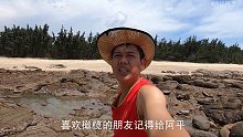 阿平赶海抓获一条漂亮的八爪鱼，还遇到了红花蟹和吃不了的海胆