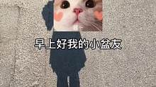 不会真的有人敢用这个当起床铃吧#声控