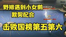 贝拉遇到最近很火的做饭哈利（还是国榜第五