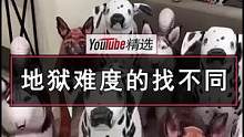 当一只狗狗混入了一堆气球狗中一动不动时，想找到它就是一个地狱难度的找不同游戏了#找不同 #狗 #宠物