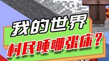 我的世界：村民睡觉还挑床？用四种床测试村民最爱哪一款