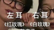 左耳《红玫瑰》右耳《白玫瑰》
耳机听#红玫瑰 #白玫瑰