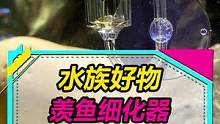 小巧精致的鱼缸氧气细化器，小气泵也能用~#水族 #养鱼 