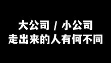 【去大公司还是小公司】大公司/小公司走出来的职场人有什么不同？