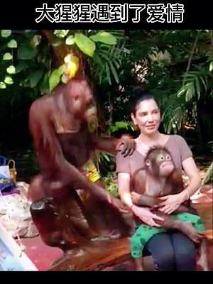 大猩猩太可爱了，像极了一家人#动物的迷惑行为 #享受这悠闲时光 #搞笑视频 