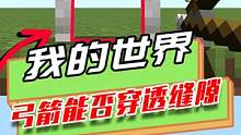 我的世界：测试弓箭穿透缝隙，小白身上的孔，无法用弓箭穿过