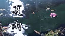 一年一度的『夏雨』来了
