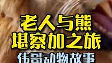 加拿大老人救助俄罗斯棕熊的感动故事，结局令人意外？#动物世界 #万物皆有灵性