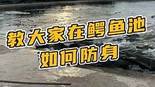 画面有些刺激，你一定要学会防身术！#鳄珍 