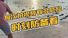 在鳄鱼池里拍视频，有多危险？#鳄珍 