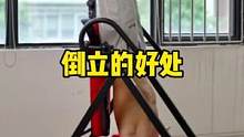 长时间久坐，腰部颈部僵硬酸疼，记得每天倒立5分钟#倒立 #倒立机 #家庭健身器械