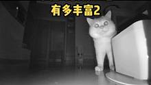 监控下的一幕，真是又好笑又心疼...#监控下的一幕 #猫咪的迷惑行为