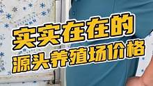 实实在在的源头养殖场价格#鳄珍