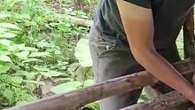 84集 森林哥野外求生，猪肉炒芋头叶，编织扇子，独自一人打造一个家园 #原始技术 #荒野建造 #野外
