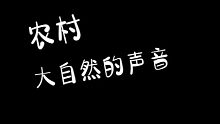 【戴耳机】农村的夜晚，大自然的声音，你有多久没听过这种声音了！