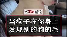 当狗子发现你身上有别的狗的毛发，虽然吃醋了但是没有吭声，只是默默低下了头#宠物 #狗 #搞笑 