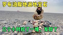 房车穿越罗布泊无人区，姑娘发现遍地是宝石，却不敢带走为啥？