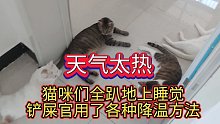 天气太热，猫咪们全趴地上睡觉，铲屎官用了各种降温方法