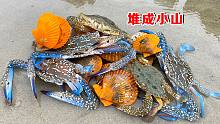 阿聪到无人沙滩赶海，这里的螃蟹又肥又大没人抓，今天发财了