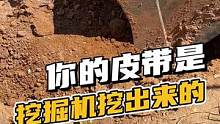 你的皮带是挖掘机挖出来的#鳄珍