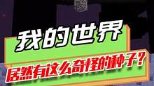 我的世界：祭坛飘在虚空，海底浮现笑脸！这种子真让人摸不到头脑