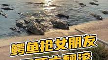 鳄鱼抢女朋友，要学会死亡翻滚#鳄珍