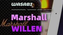 抢先新品Marshall Willen 开箱体验 外出露营方便携带 #开箱vlog #Marshal