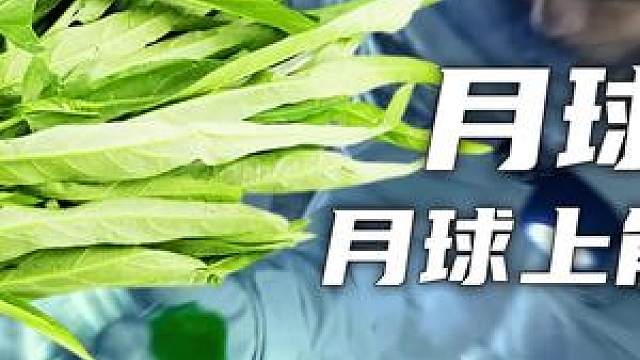 月球上能种菜吗?(2)