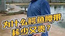 为什么鳄鱼腰带稀少又贵#鳄珍 