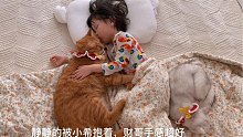 小女孩和猫咪们的午睡日常（库存）