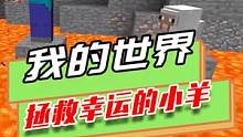 我的世界：一只不幸运的小羊，但它朋友多，每次都有人来救
