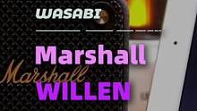 新品 Marshall Willen 开箱体验 外出露营也能很方便的带着了#Marshall #数码