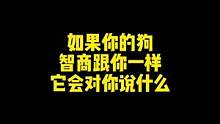大概就知道这些狗的特点了吧？还想了解哪些品种？