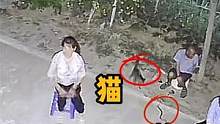 江苏盐城夜间蛇出没：猫咪追蛇，蛇惊慌失措闯入乘凉的人堆 #监控下的一幕 #惊魂一刻   #危险瞬间 