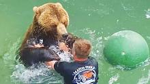 小棕熊邀请俄罗斯人一起游泳，并品尝了摄像机