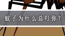 一群人坐在一起，蚊子为什么总叮你？为啥这个老六偏偏独宠你一人？#科普 #涨知识 #蚊子吸血