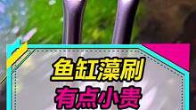 鱼缸局部除藻小刷子，不便宜但做工不错~#水族 #鱼缸除藻 