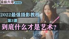 【摄妹大学】初级篇 第3课 什么是艺术 【无反时代人像艺术摄影全方位系统教程】