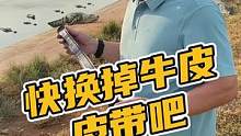 快换掉牛皮皮带吧#鳄珍 