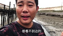 生蚝桩下就是货多，兴哥赶海抓青蟹抓过瘾了，今天要发财了