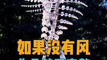 艺术家Anthony Howe的雕塑作品，如果没有风就不完整#雕塑艺术 #艺术家 #视觉艺术 