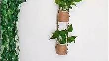 废瓶子不要扔，改造一下秒变绿萝墙饰，美观又环保！#变废为宝 #手工diy#手工花盆