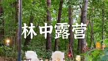 林中露营，炊烟袅袅#露营报告 #户外 #享受这悠闲时光 #露营漫时光 