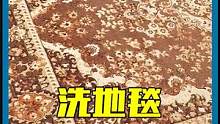 富婆喜欢在地毯上睡觉，出价三万必须让我洗白！ #解压 #洗地毯 #清洗地毯 